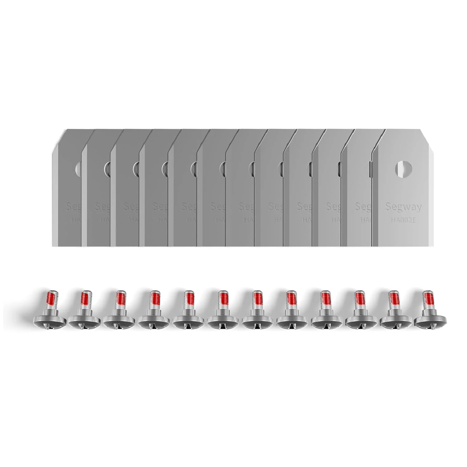 Miniatuur 2